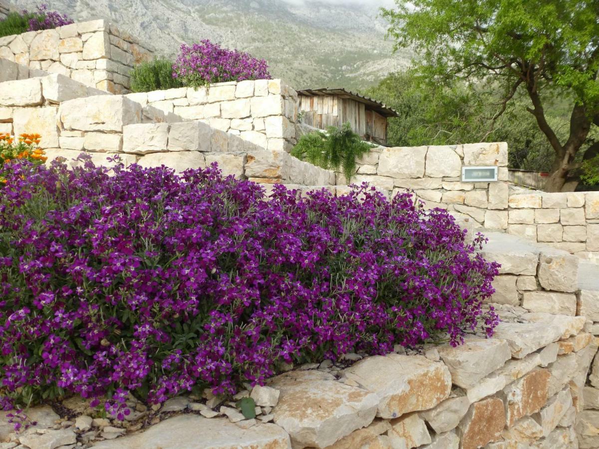 Kuca Za Odmor Viola Villa Zivogosce Bagian luar foto